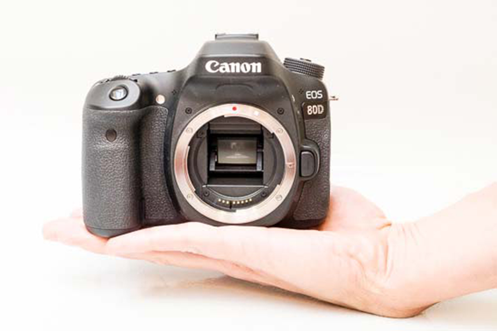فیلم برداری با دوربین DSLR در ساعت طلایی