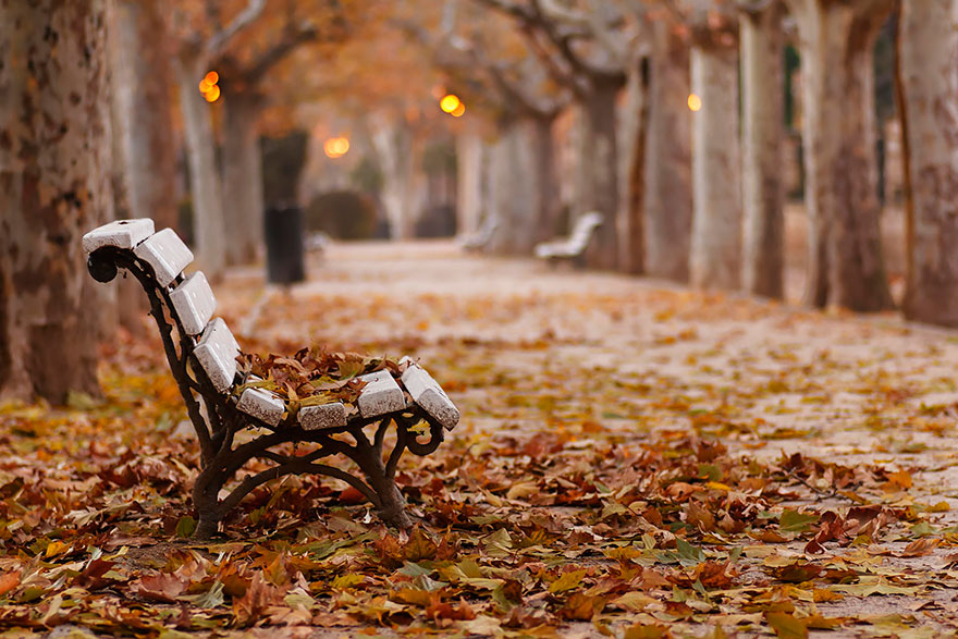 پیشنهادات زیبا برای عکاسی در پاییز